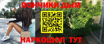 гидропоника Новозыбков