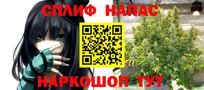 гидропоника Новозыбков