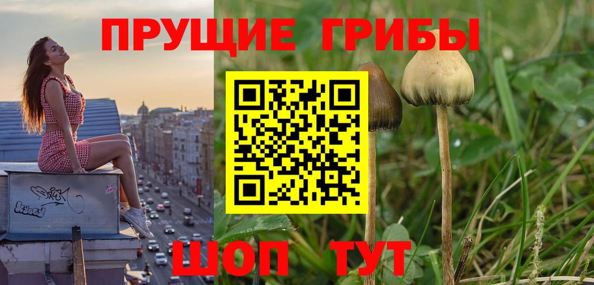 Галлюциногенные грибы ЛСД Ростов-на-Дону