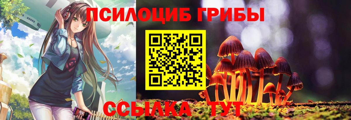 где найти наркотики  Вход с VPN  Ростов-на-Дону  Псилоцибиновые грибы GOLDEN TEACHER 